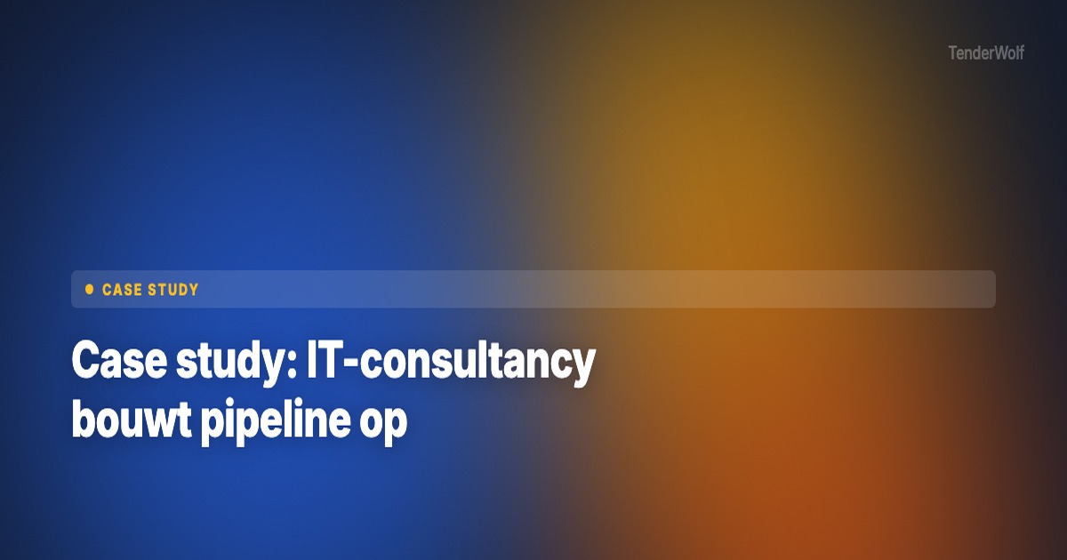 IT-consultancyteam aan het werk